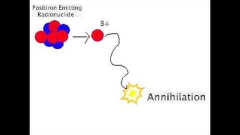 Positron Emission Annihilation