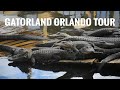 Gatorland Orlando Tour | Visiting Gatorland Orlando