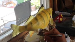 How to Taxidermy a Fish - Walleye Mount 