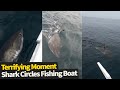 Terrifying moment shark slowly circles small fishing boat