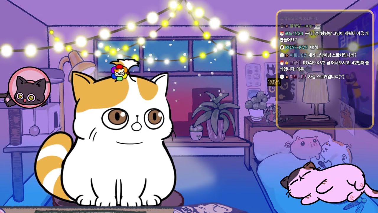 [댄디스월드] 부드럽게 되는대로 꾸려서 가보자구 