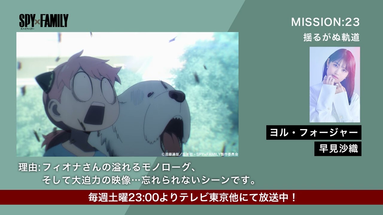 SPECIAL｜TVアニメ『SPY×FAMILY』