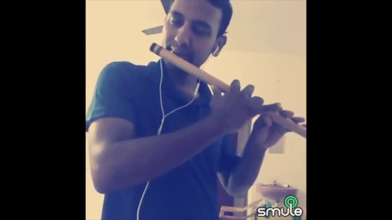 Nuvvu Nuvvu song Flute Khadgam Movie