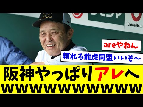 【龍虎同盟最高や！】阪神やっぱりアレへwwwwwww【なんJ反応】【プロ野球反応集】【2chスレ】【5chスレ】