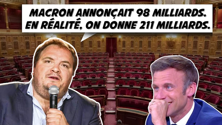 Senator Gay demonstrates the madness of public aid in France - conclusion of the commission