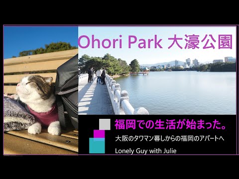 #福岡移住　愛猫と大濠公園 で過ごす午後【タワマン生活からアパート暮しへの転落物語 vol.9】　I started living with my beloved cat in Fukuoka.