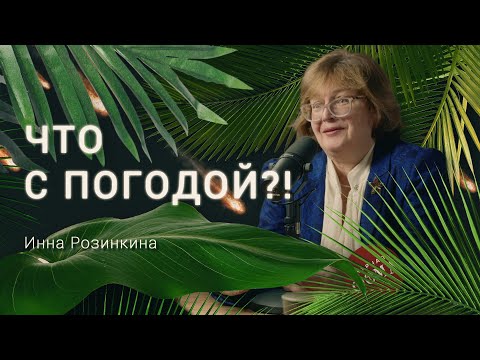 Магнитные бури и перепады давления. Мнение метеоролога. Инна Розинкина
