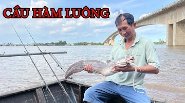 THU PHỤC CÁ NGÁT KHỔNG LỒ ẨN NÚP DƯỚI CHÂN CẦU HÀM LUÔNG BẰNG MỒI CÂU CÁ NGÁT ĐƠN GIẢN