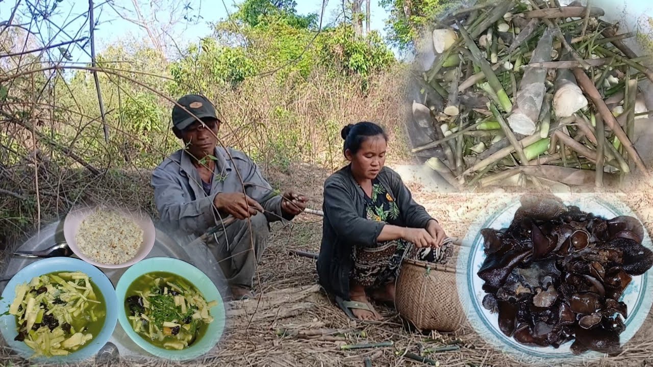 9 มีนาคม ค.ศ. 2026