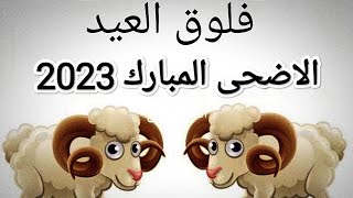  فلوق العيد الاضحى  روتين اول يوم العيد (هرب الخروف...