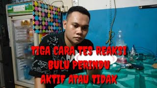 TIGA CARA TES REAKSI BULU PERINDU AKTIF ATAU TIDAK