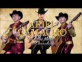 Ariel Camacho y Los Plebes del Rancho Mix