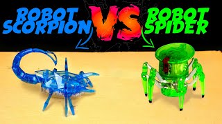ROBOT SCORPION VS ROBOT SPIDER! 😨