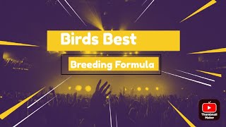 birds breeding formula 2022 best formula for best results