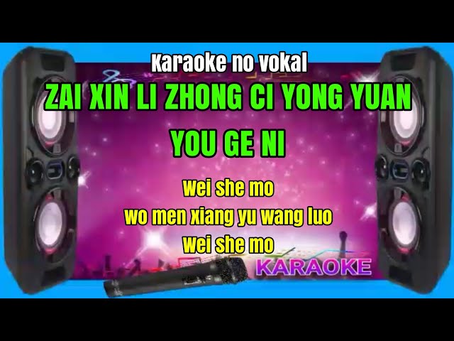 Zai xin li zhong ci yong yuan you ge ni - karaoke no vokal (cover to lyrics pinyin) class=