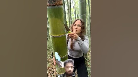 The GIRL's skills are AMAZING#camping #survival #bushcraft #outdoors #lifehack