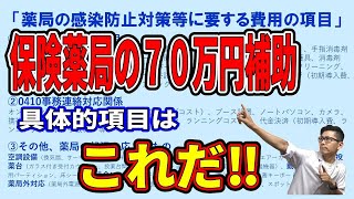 保険薬局７０万円補助の具体的項目の例示（薬剤師のわ）