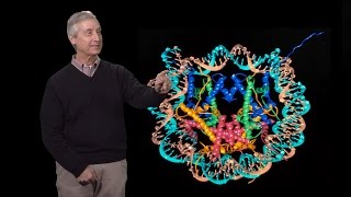 C. David Allis (Rockefeller U.) 2:  Epigenetics in Development and Disease