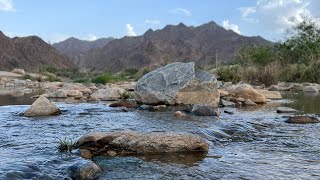 Relax, water, nature saudi arabia, صوت الطبيعة خرير ماء هادئ للاسترخاء من ارض الطبيعة في السعودية