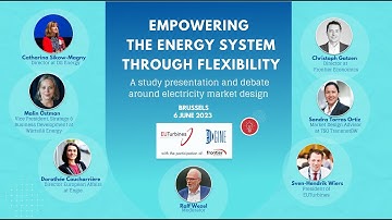 Empowering the Energy System through Flexibility - Event
