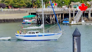 【Vancouver 2025】🇨🇦 1 Minute -False Creek 202-