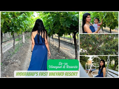 Se-Ra Vineyard x Resort Hyderabad | Hyderabad's Own Vineyard Resort | Staycation Amidst Vineyards