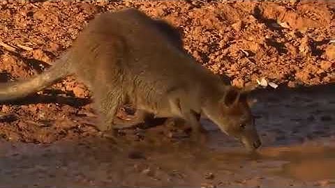 ❤️❤️ سورة يوسف طمأنينة وراحة البال