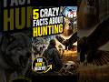 5 CRAZY FACTS ABOUT HUNTING#hunting #StrangeButTrue #mindblown #unbelievable #didyouknow #USA #US
