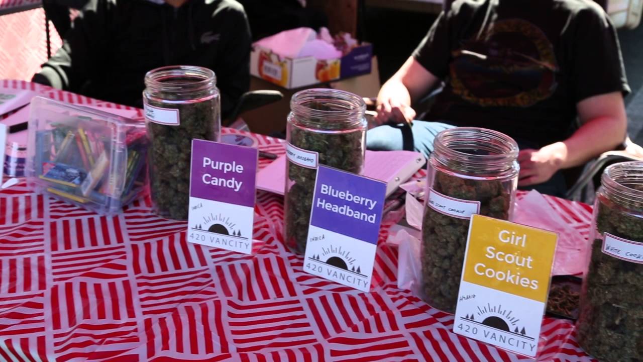 420 Protest or trade show?