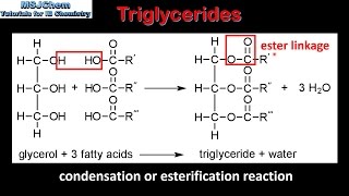 B.3 Triglycerides (SL)