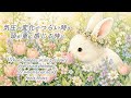 【癒しのハープBGM】気圧の変化でつらい時に｜頭が重い日にそっと寄り添う音
