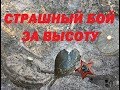 Бой за высоту. Павшие герои все ещё прямо под ногами!