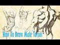 How To Draw Male Torsos