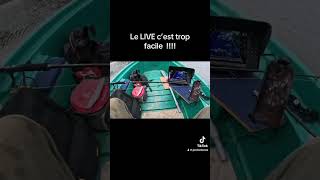 Refus de petits silure, pêche au live Eagle 9 LOWRANCE #fishing #brochet  #silure #pourtoi #vendée