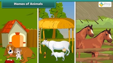 Class 3 EVS Chapter - 1 "Poonam