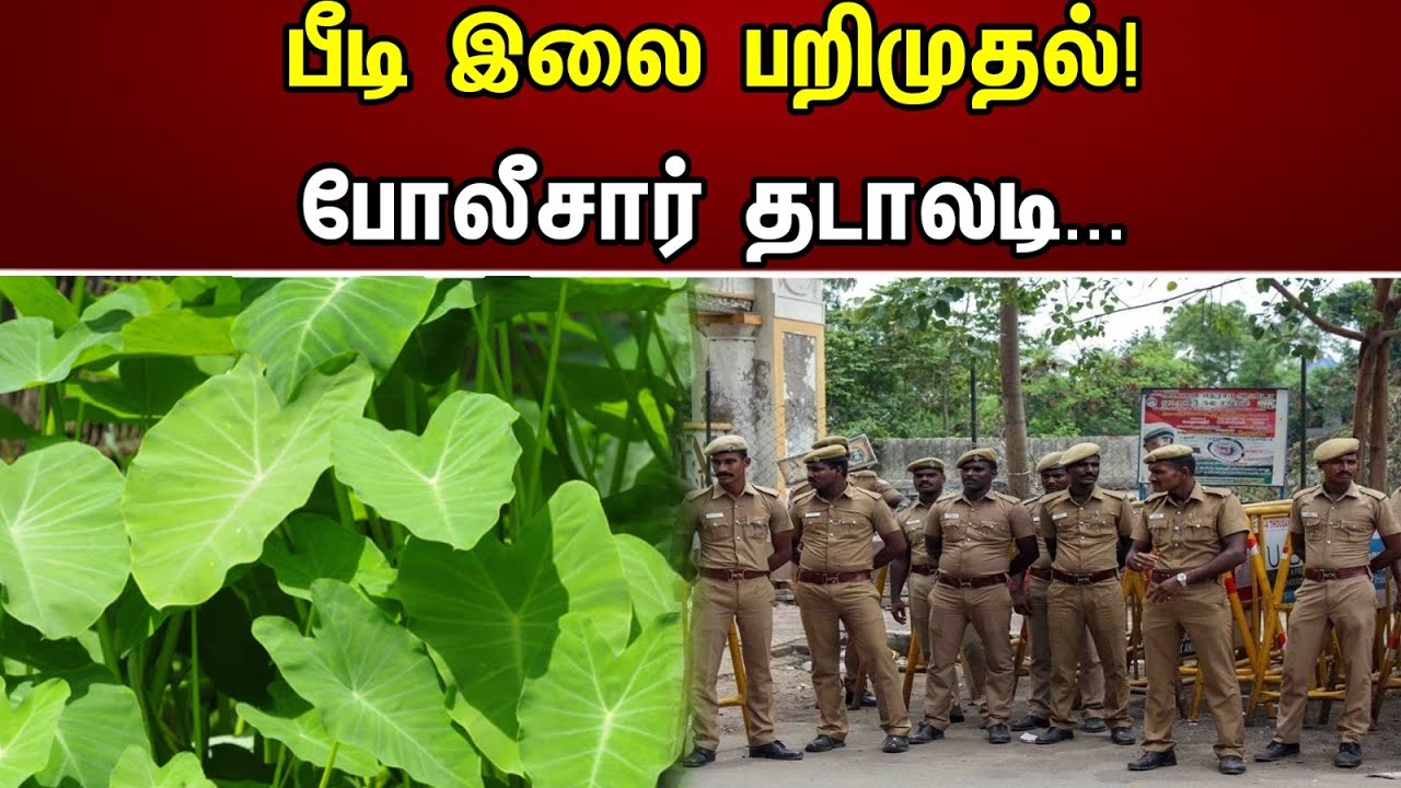 சண்டையில் குதித்த பாஜகவினர் | தூத்துக்குடியில் பரபரப்பு...| Thoothukudi | BJP | Annamalai |Chanakyaa