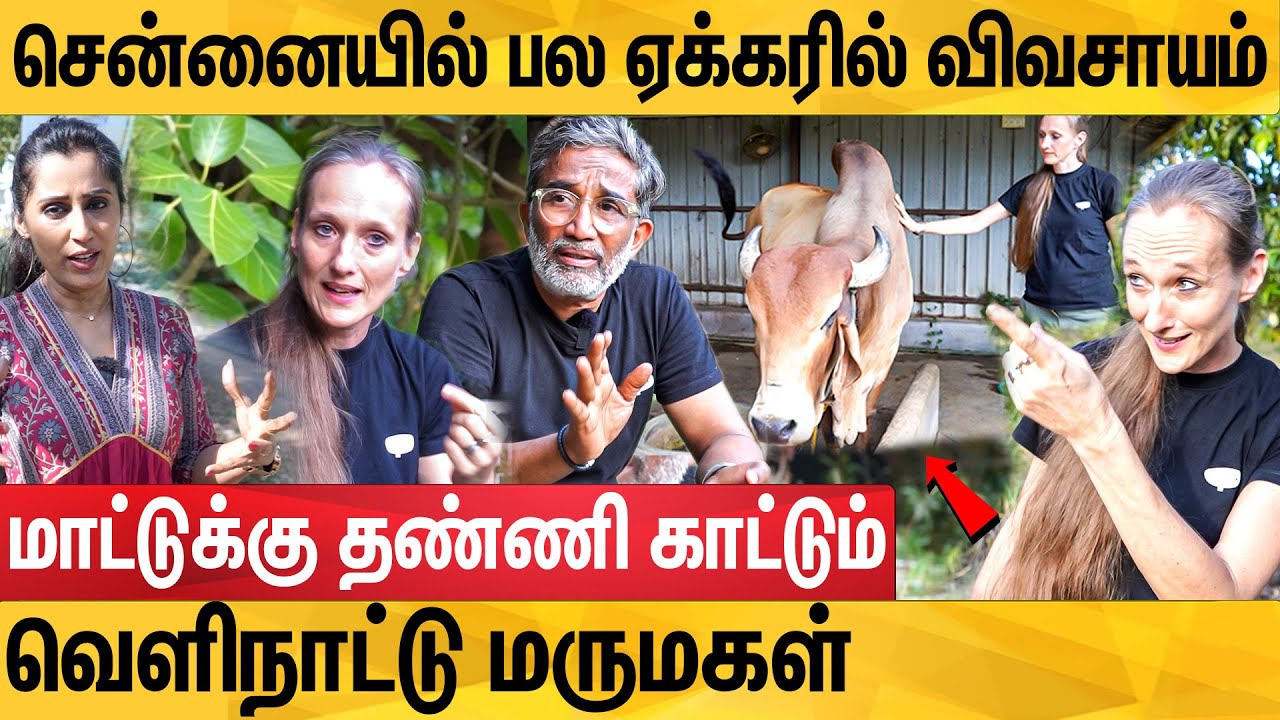 தமிழனை திருமணம் செய்து விவசாயத்தில் கலக்கும் Dutch பெண்: Shammy Jacob & Charlotte Klooster Farm
