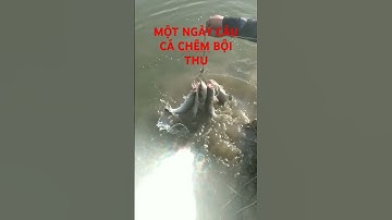 Câu cá chẽm Cần Giờ