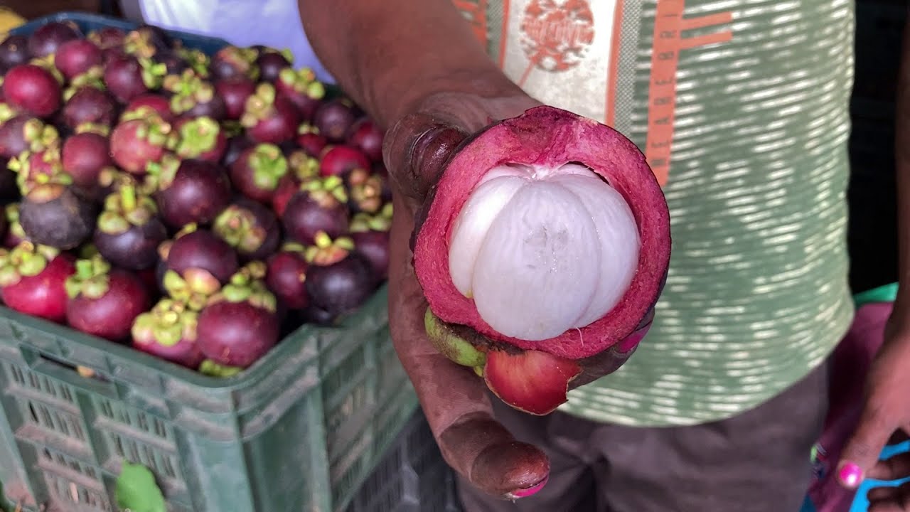 Explore Mangosteen - The Queen Fruit In Kutralam | Indian Street Food -  Youtube