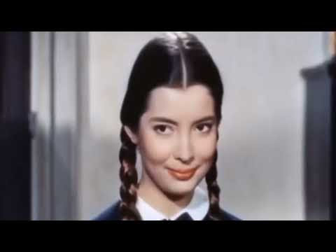 smooth operator (alain Delon)