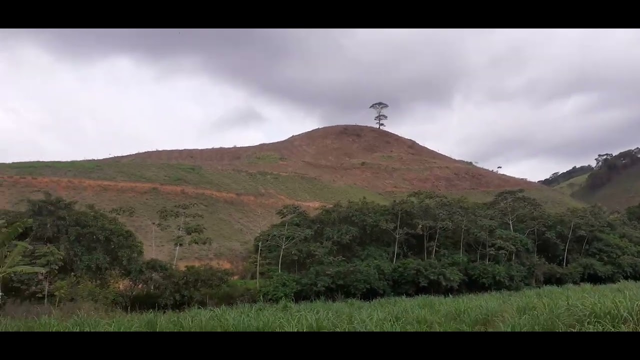 19 de fevereiro de 2026