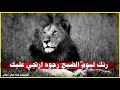 ذب يولنص حوت وذ ب يوسف ابير دوله نبايه هيج جااابيه شصير رتك ليم م الضيج رجوم ارتجي عليك ذب يولنص حوت وذ ب يوسف ابير دوله نبايه هيج جااابيه شصير رتك ليم م الضيج رجوم ارتجي عليك