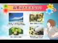 ノニ濃縮ソフト：Short Version