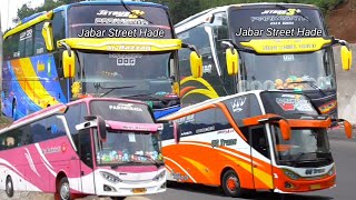 Bus Djayalangit/Bus Gardena Pariwisata/Bus City Miles/Bus SJM trans Tanjakan Gentong Tasikmalaya