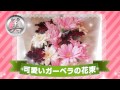 可愛いガーベラの花束【結婚式二次会/忘年会/ビンゴ大会～景品紹介映像～】