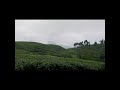 #trending #viral #love #funny #fyp #nature #nepal #shorts #viralvideo #views #reels#tiktok #explore