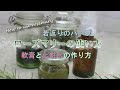 【ローズマリーの軟膏と化粧水の作り方】ハーブの使い方　若返りのハーブ　How to use rosemary