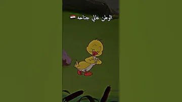 بين الجسر والساحه الوطن عالي جناحه لايك اشتراك بالقناه ليصلك كل جديد 