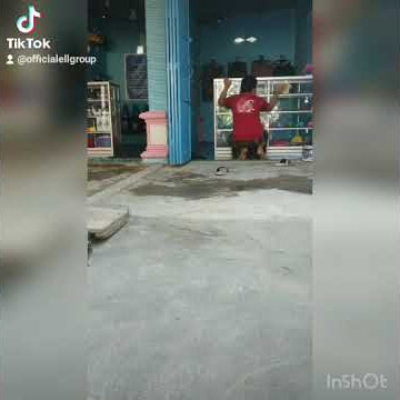 Lagu viral Tik Tok - BODO AMAT 2021