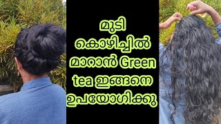 മുടികൊഴിച്ചിൽ  മാറാൻ Green tea|| താരൻ മാറി മുടി വളരാൻ